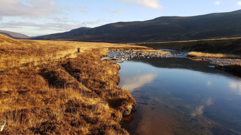 Scottish Highlands